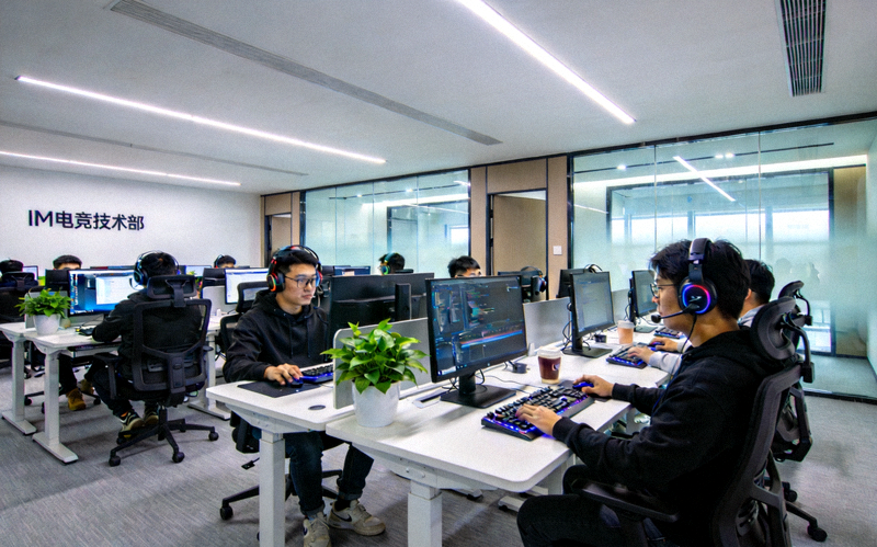 IM电竞技术部门办公区域 - 程序员在电脑前工作的现代化办公室